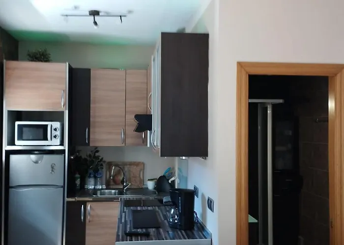 Piso Playa Centro Apartment *